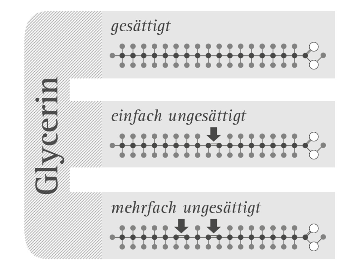 Besser Gesättigte Oder Ungesättigte Fettsäuren www.dr-johanna-budwig.de