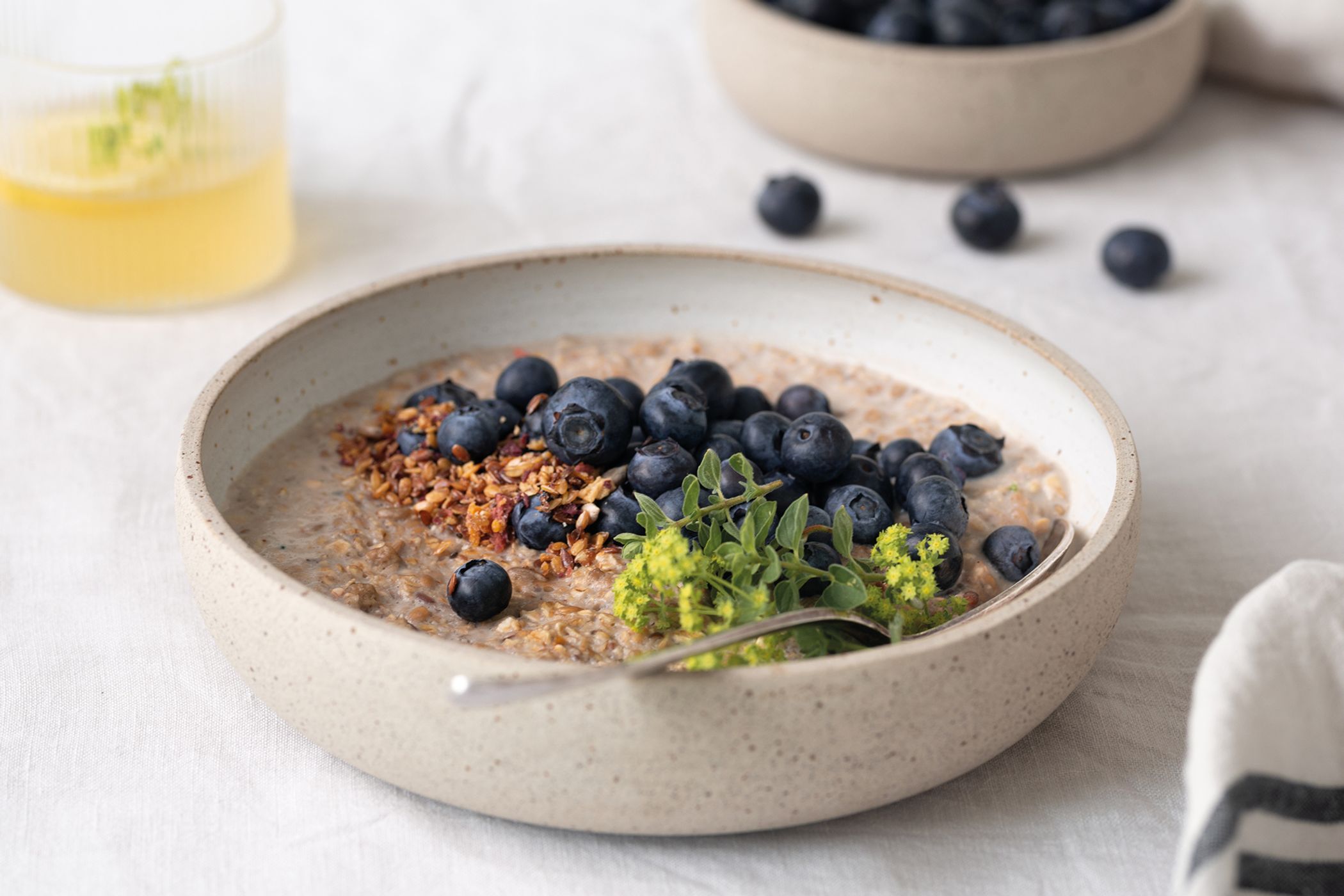 Dr. Budwig Protein Porridge mit Blaubeeren und Wildkräutern