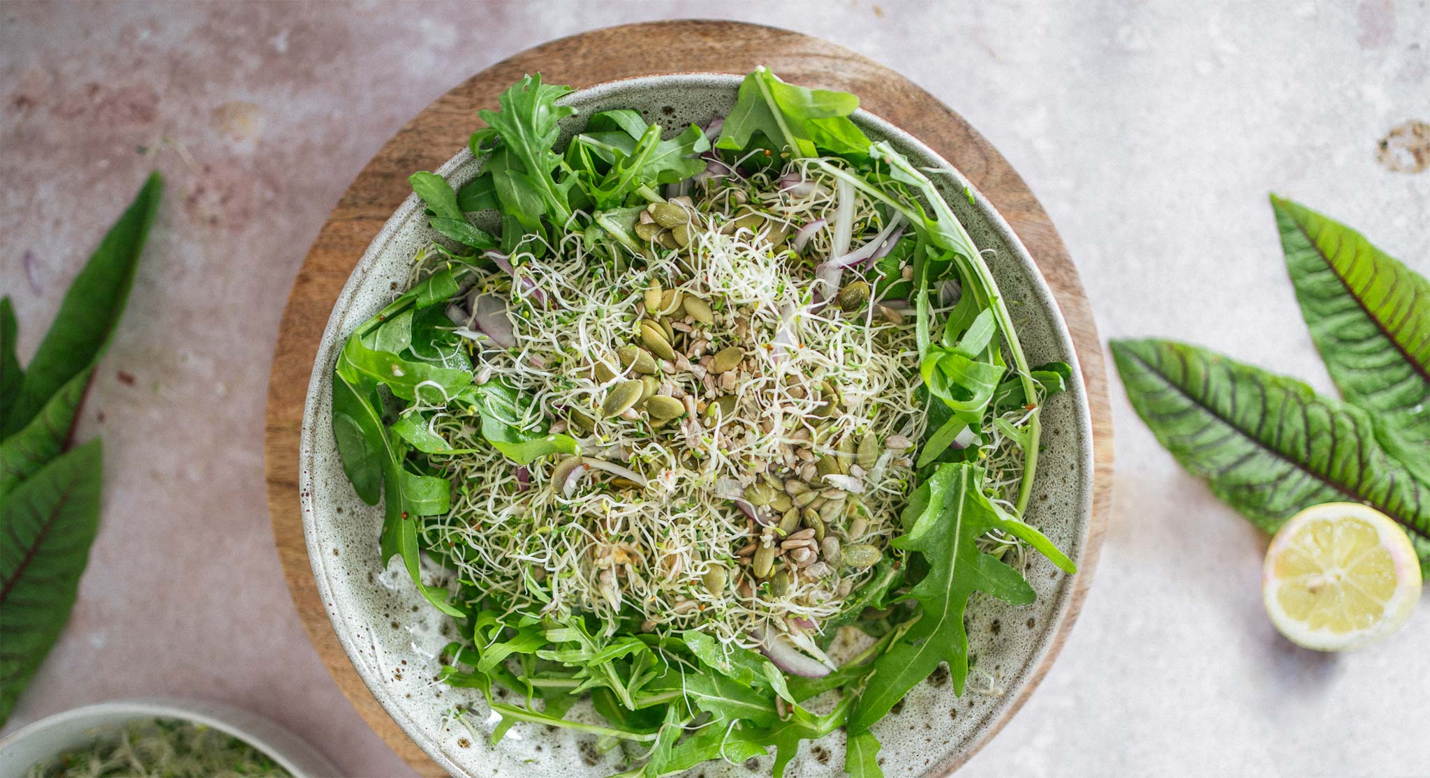 Sprossensalat mit Leinöl | Rezepte | Dr. Budwig
